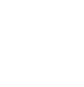 Logo Baojun